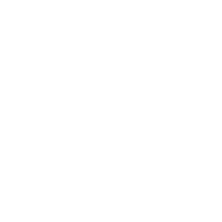 Netra Invocation