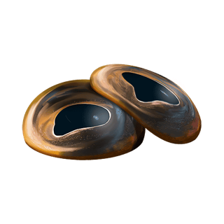 Tralok Eyes