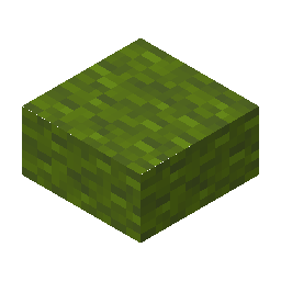 Green Wool Slab