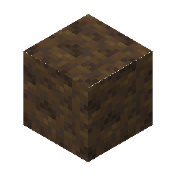 Poplar Wood