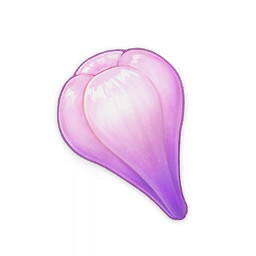 Amakumo Fruit