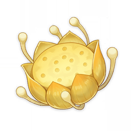 Nilotpala Lotus