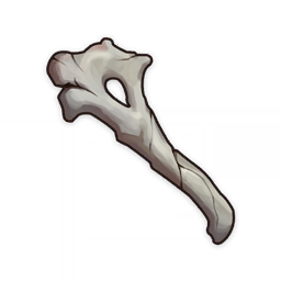 Fragile Bone Shard