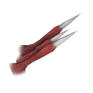 Kuaka Spinal Claw