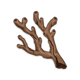 Coral Branch of a Distant Sea