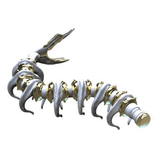 Spinal Core Section