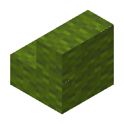 Green Wool Stairs