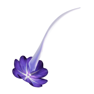 Ueymag