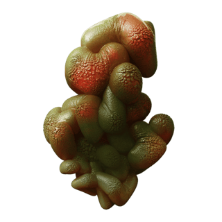 Ferment Bladder