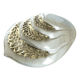 Tubercular Gill System