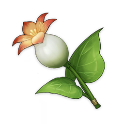 Calla Lily