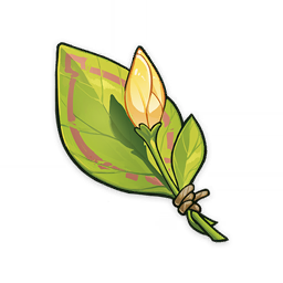 A Flower Yet to Bloom