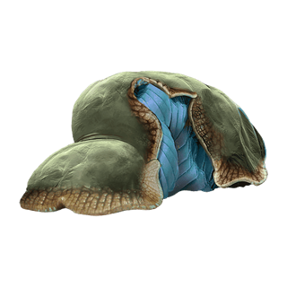 Goopolla Spleen