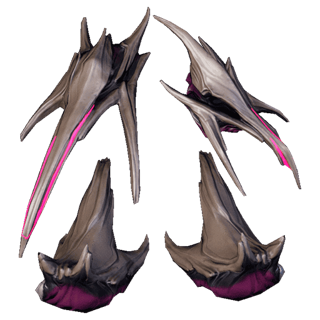Hirudo