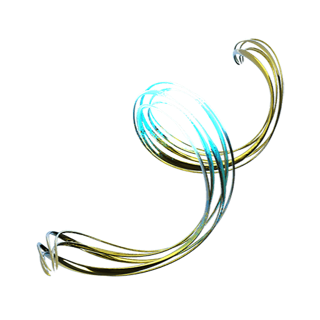 Somatic Fibers