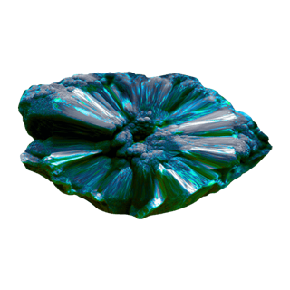 Cryotic