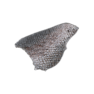Fish Scales