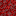 Crimson Nylium