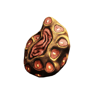 Gorgaricus Spore