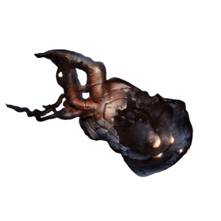 Neurodes