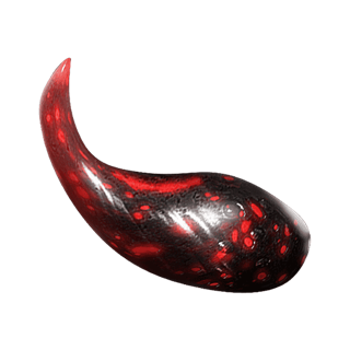 Kuva