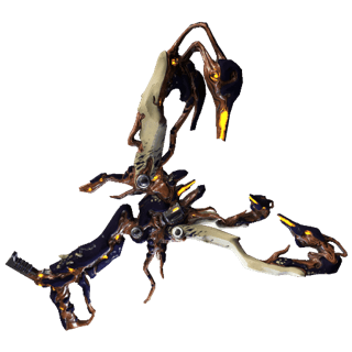 Paracyst