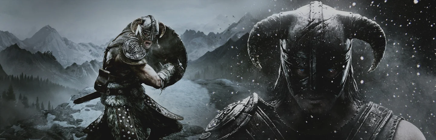 The Elder Scrolls V: Skyrim Special Edition game artwork