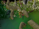 Related icon: Old School RuneScape activity artwork: Bird house trapping.