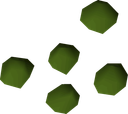 Related icon: Old School RuneScape item icon: Ranarr seed, representative of herb-run inputs.