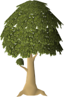 Related icon: Old School RuneScape crop artwork: Mahogany tree in a Farming patch.