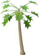 Related icon: Old School RuneScape crop artwork: Papaya tree, representative of fruit-tree patches.