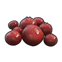 Red Berries, the item named in this Palworld guide. Red Berries