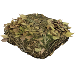 Satisfactory item icon: Biomass.