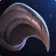 Related icon: World of Warcraft item icon: Majestic Claw.